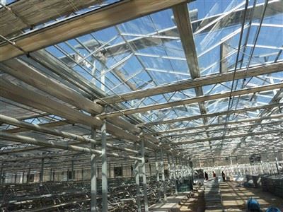 Multi Span Photovoltaic Greenhouse