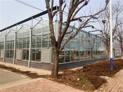 Multi Span Photovoltaic Greenhouse