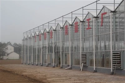 Multi Span Photovoltaic Greenhouse
