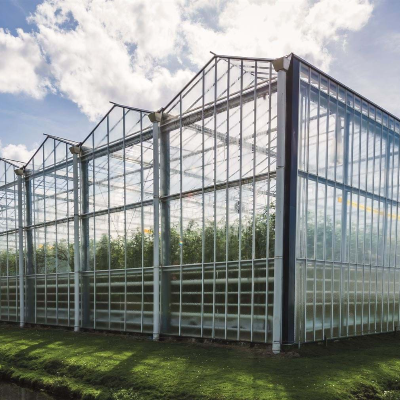 multi-span greenhouse multi-span greenhouse