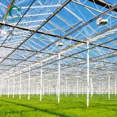 China Venlo Glass Greenhouse For Central Asia