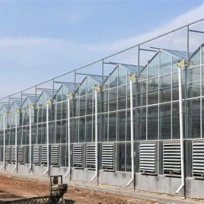 China Venlo Glass Greenhouse For Central Asia