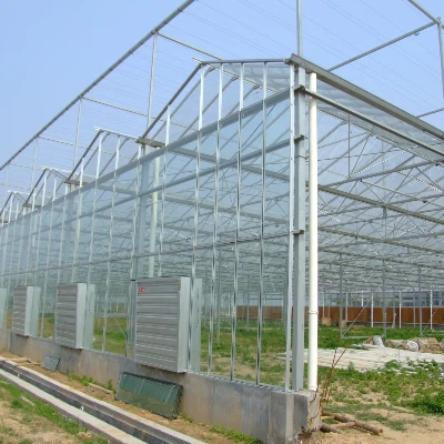 Glass Commercial Greenhouse