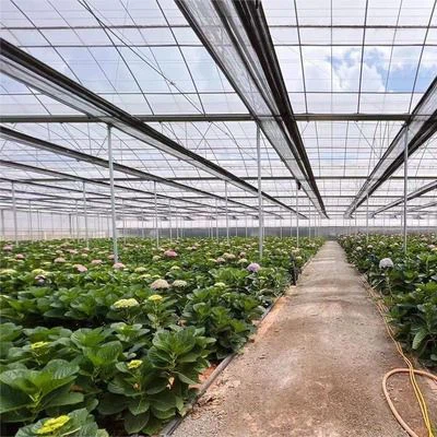 Glass Commercial Greenhouse