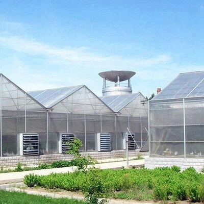 Glass Commercial Greenhouse