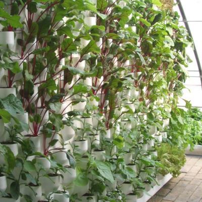Solar Powered Hydroponic Greenhouse