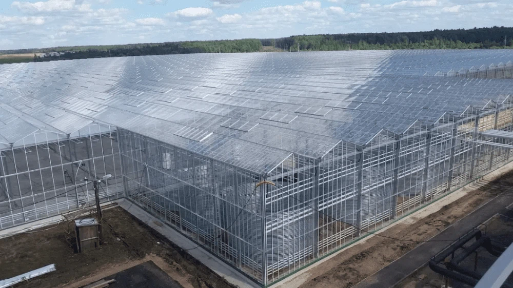 Glass Commercial Greenhouse Glass Commercial Greenhouse