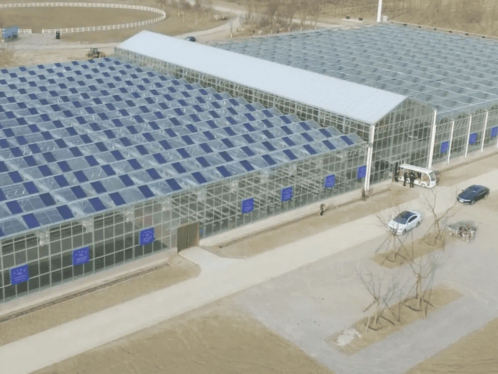 Glass Commercial Greenhouse Glass Commercial Greenhouse