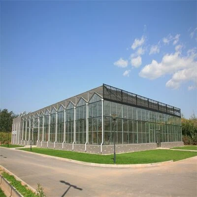 Glass Commercial Greenhouse